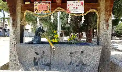 三津厳島神社の手水舎