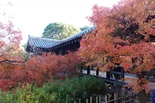 東福禅寺（東福寺）(京都府)
