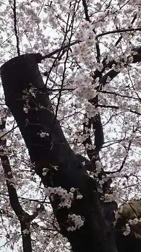 旗岡八幡神社(東京都)