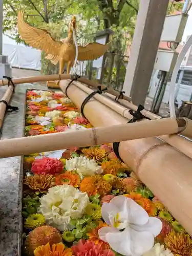 富岡八幡宮(東京都)