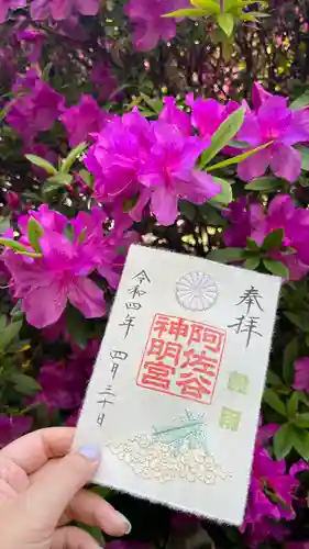 阿佐ヶ谷神明宮の御朱印