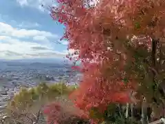 新倉富士浅間神社の自然