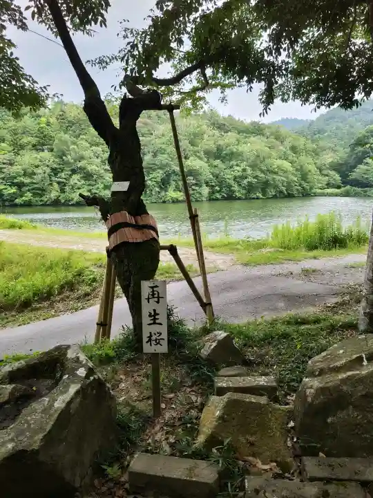 赤猪岩神社(鳥取県)