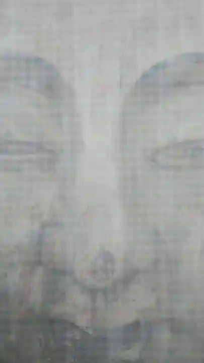 泉蔵院(神奈川県)