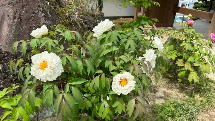 圓融寺(埼玉県)