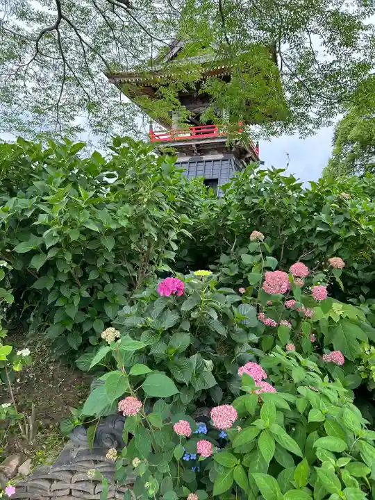 能護寺(埼玉県)