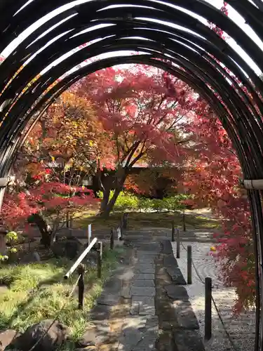 東光寺の庭園