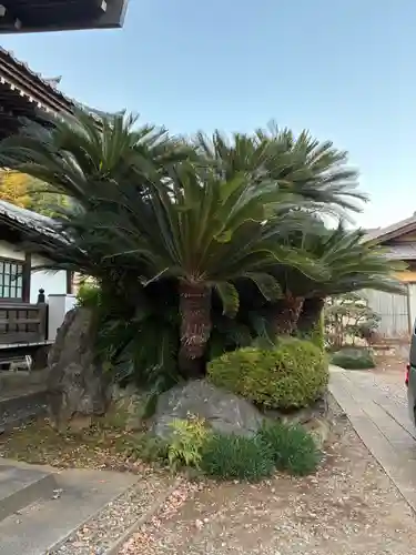 光明寺(千葉県)