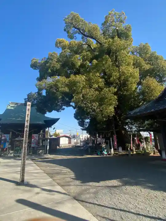 遍照院の{uncategorized: "未分類", other: "その他", undefined: "問題あり", building: "その他建物", grave: "お墓", sacred_gate: "鳥居", guardian: "狛犬", statue: "像", buddha: "仏像", history: "歴史", nature: "自然", garden: "庭園", animal: "動物", pagoda: "塔", temizu: "手水舎", mountain_gate: "山門・神門", sanctuary: "本殿・本堂", subordinate: "末社・摂社", art: "芸術", scenery: "景色", jizo: "地蔵", ema: "絵馬", goshuin: "御朱印", omikuji: "おみくじ", items: "授与品その他", amulet: "お守り", goshuincho: "御朱印帳", eats: "食事", festival: "お祭り", votive_dance: "神楽", shichigosan: "七五三参", wedding: "結婚式", experience: "体験その他", initially: "初詣", around: "周辺", anti_infection: "感染症対策"}