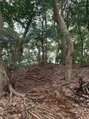 葦芽神社(千葉県)