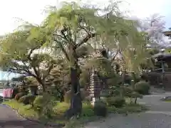 福生寺(東京都)