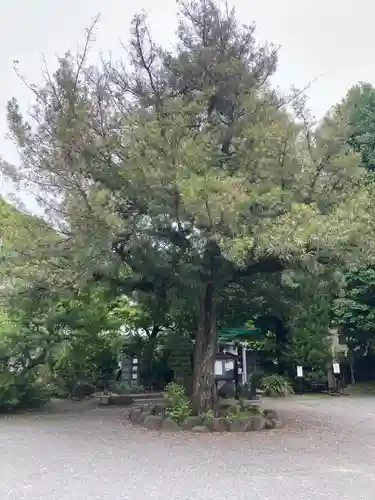 安楽院(神奈川県)