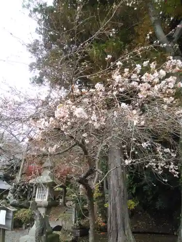 鹿島大神宮(福島県)