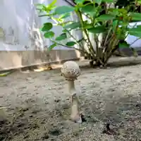 三津厳島神社(愛媛県)