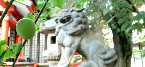 くまくま神社(導きの社 熊野町熊野神社)の狛犬