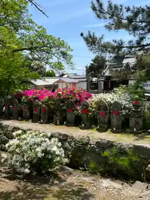 矢田寺(奈良県)