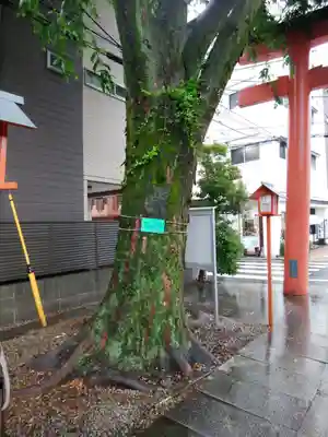 赤城神社(東京都)