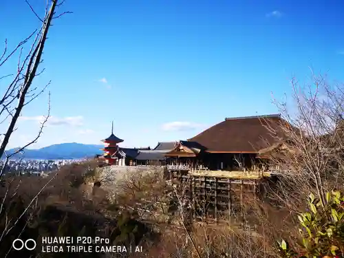 清水寺の本殿・本堂