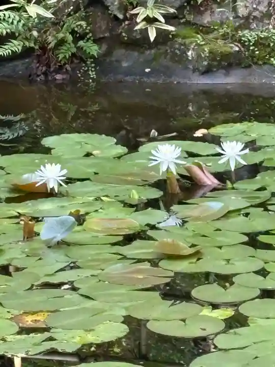 太龍寺(徳島県)