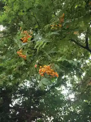 中の島神社(北海道)