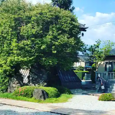 法源寺のその他建物