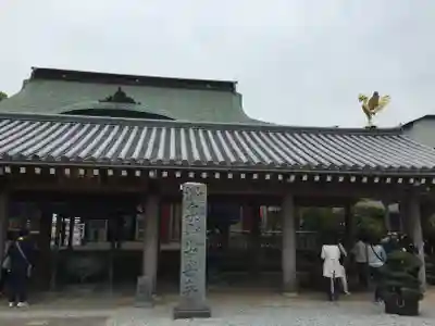 温泉山 安楽寺(四国霊場第六番札所)の本殿・本堂