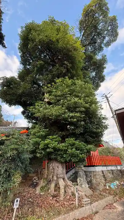 玉岡稲荷神社(京都府)