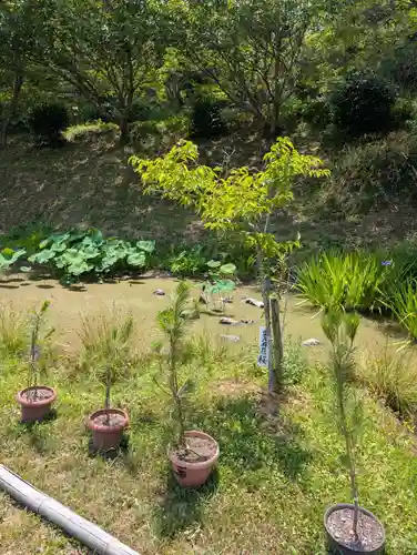 洞松寺(岡山県)