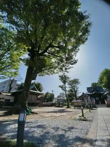 多賀神社(東京都)
