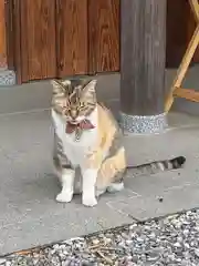 前玉神社の動物