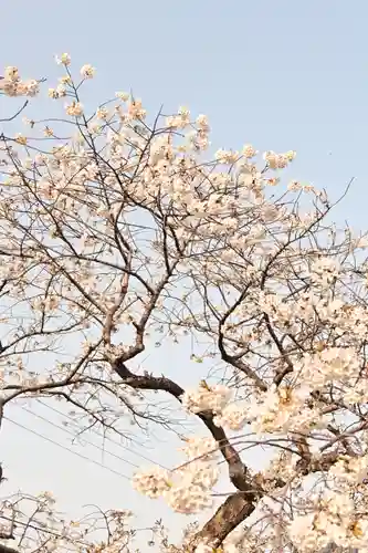 実報寺(愛媛県)