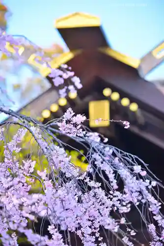 伊勢山皇大神宮(神奈川県)