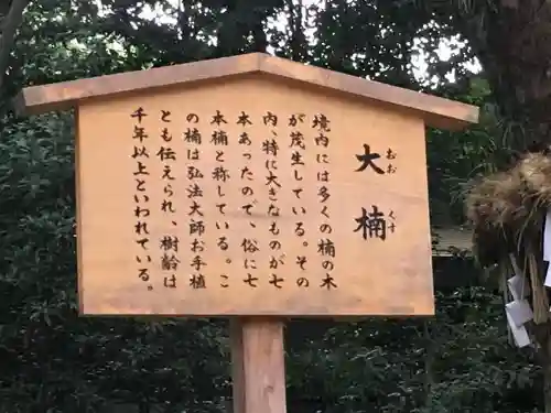 熱田神宮の自然