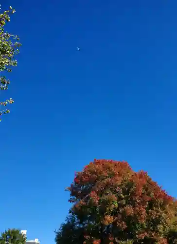 湯島聖堂(東京都)