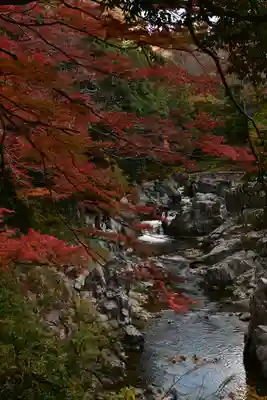 大瀧神社(滋賀県)