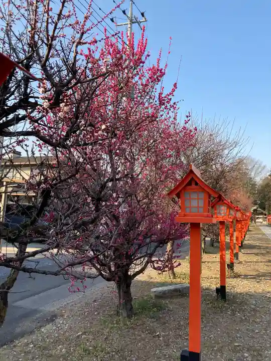 朝日森天満宮の庭園