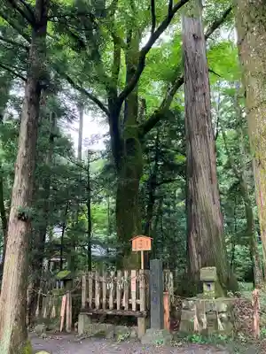小野神社(長野県)