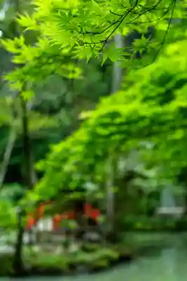 小國神社(静岡県)
