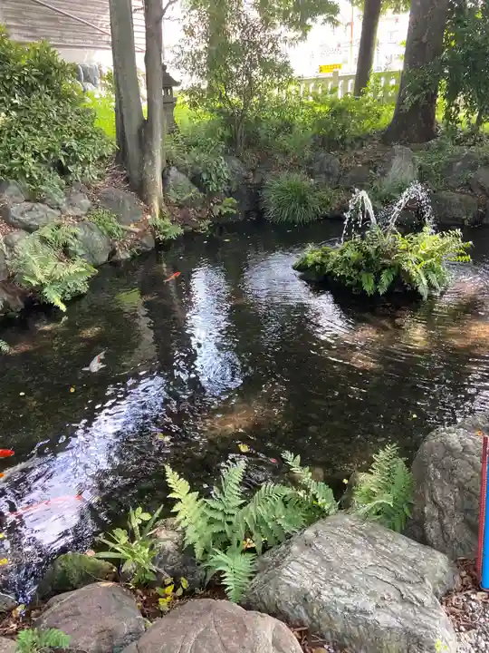 秩父今宮神社(埼玉県)