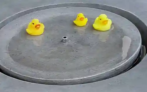 高円寺氷川神社の庭園