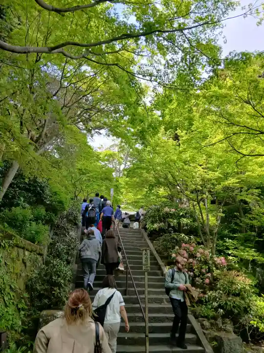 長谷寺の{uncategorized: "未分類", other: "その他", undefined: "問題あり", building: "その他建物", grave: "お墓", sacred_gate: "鳥居", guardian: "狛犬", statue: "像", buddha: "仏像", history: "歴史", nature: "自然", garden: "庭園", animal: "動物", pagoda: "塔", temizu: "手水舎", mountain_gate: "山門・神門", sanctuary: "本殿・本堂", subordinate: "末社・摂社", art: "芸術", scenery: "景色", jizo: "地蔵", ema: "絵馬", goshuin: "御朱印", omikuji: "おみくじ", items: "授与品その他", amulet: "お守り", goshuincho: "御朱印帳", eats: "食事", festival: "お祭り", votive_dance: "神楽", shichigosan: "七五三参", wedding: "結婚式", experience: "体験その他", initially: "初詣", around: "周辺", anti_infection: "感染症対策"}