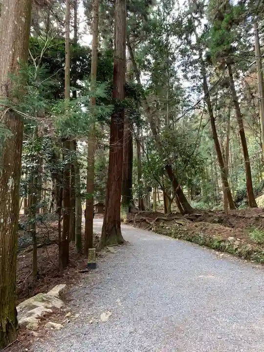 日吉大社の周辺