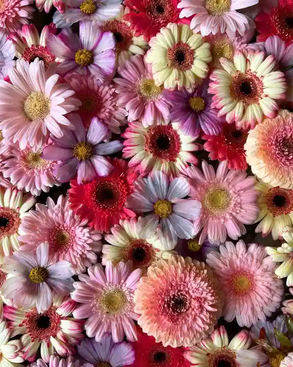 札幌諏訪神社の手水舎