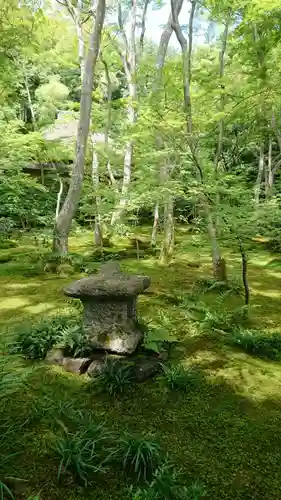 祇王寺の庭園