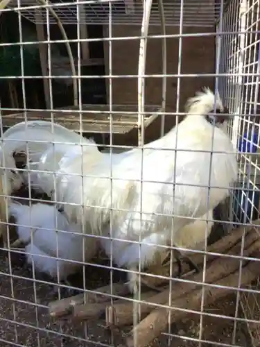 榮久山大法寺(東京都)