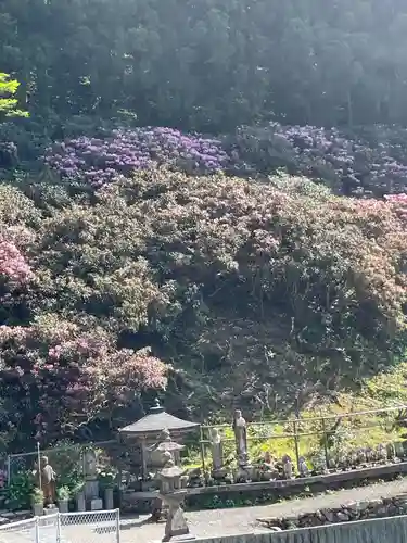 横峰寺(愛媛県)