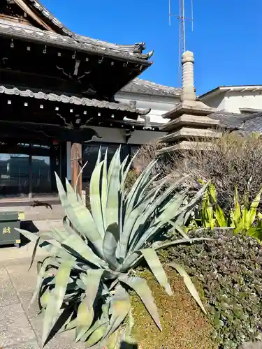 本榮寺（本栄寺）(東京都)