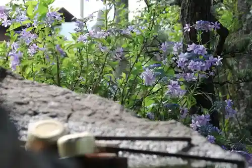 王宮伊豆神社の手水