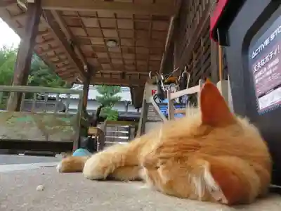 矢田寺(奈良県)