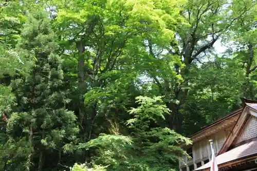 隠津島神社の自然